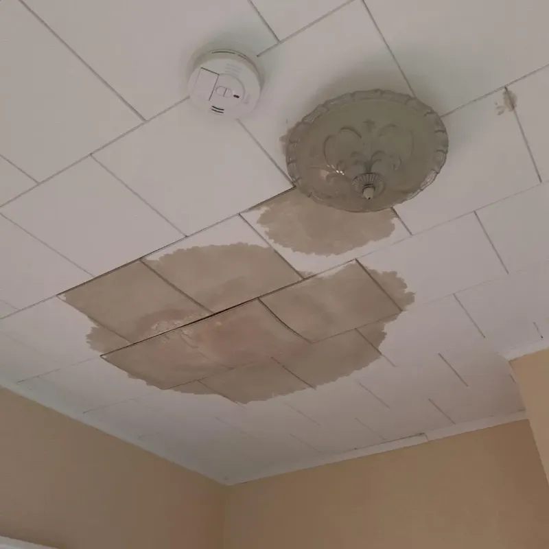 Ceiling Water Damage Repair in Kingman, KS