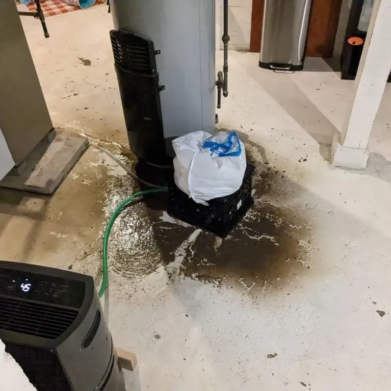 Sewage Backup Cleanup Service in Kingman, KS
